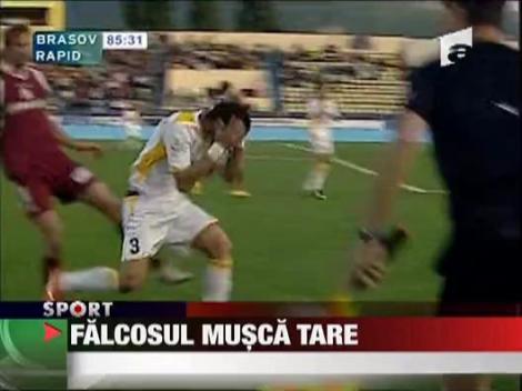 "Falcosul" musca tare