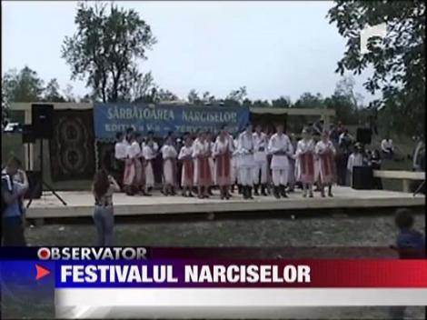 Festivalul narciselor