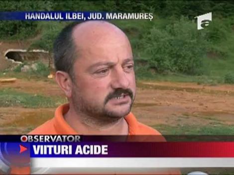 Accident ecologic in Maramures! Viituri acide!