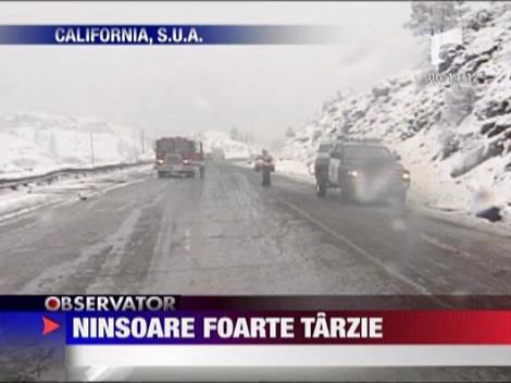 Ninsoare foarte tarzie