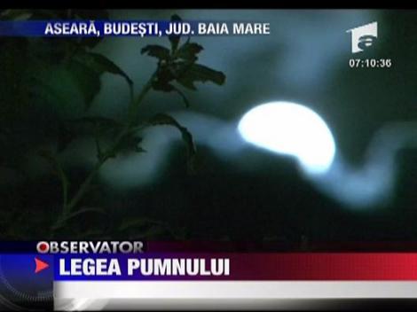 Legea pumnului