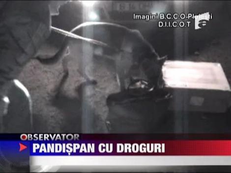 Aducea din Italia pandispan cu hasis