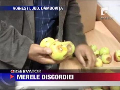 Mere cu viermi pentru copii