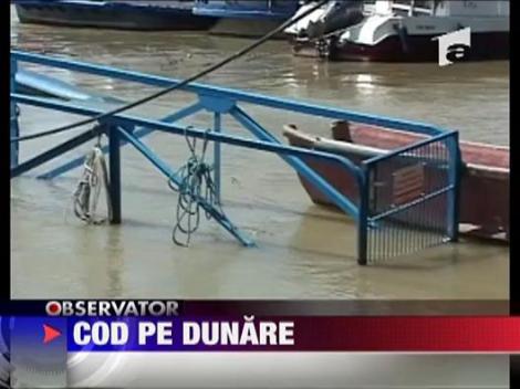 Inundatii pe Dunare