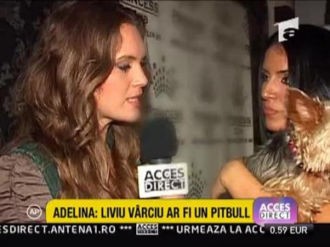 Adelina Pestritu se ia din nou de fostul sot