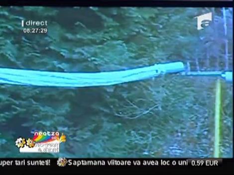 Norocel, veverita secreta a lui Micky