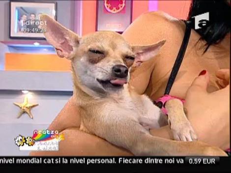 Adriana Antoni -  Iubirea mea