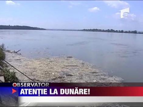 Inundatii pe Dunare in Mehedinti