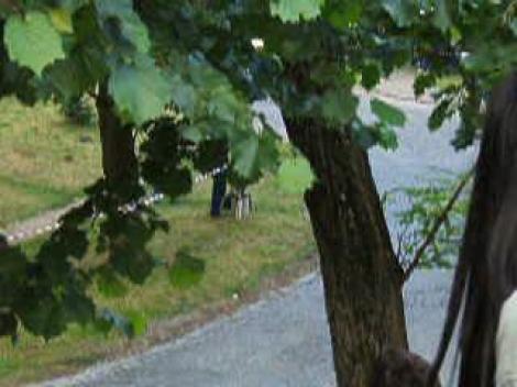 CNR 2010 / Adrenalina pe patru roti la Targu Mures