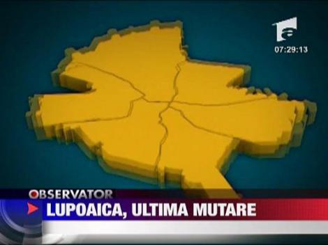 Lupoaica din Piata Romana are o noua locatie