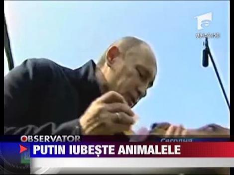 Vladimir Putin iubeste animalele