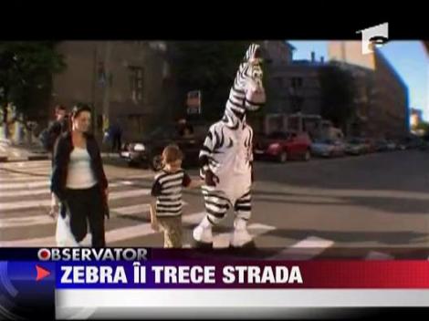 Zebra ii trece strada