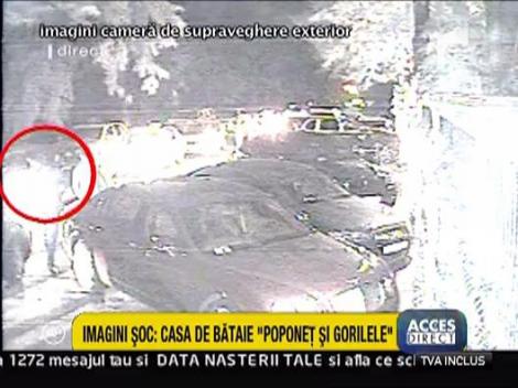 IMAGINI SOC: Casa de bataie “Poponet si gorilele”