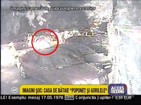 Poponet si Gorila – Bataia e viata lor?