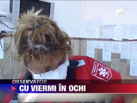 Traia cu viermi in ochi