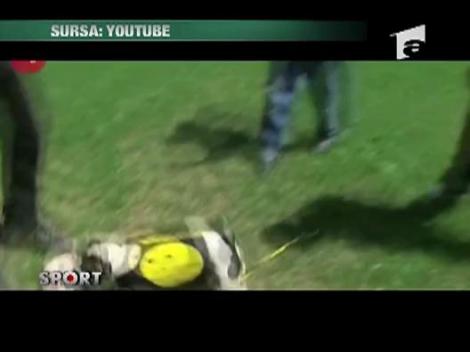 Si animalele au campionat mondial!