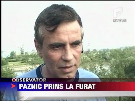 Paznic prins la furat