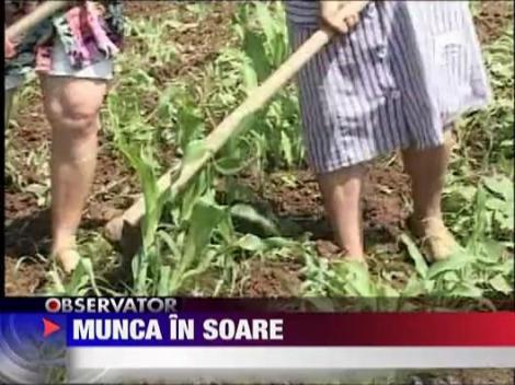 Munca in soare