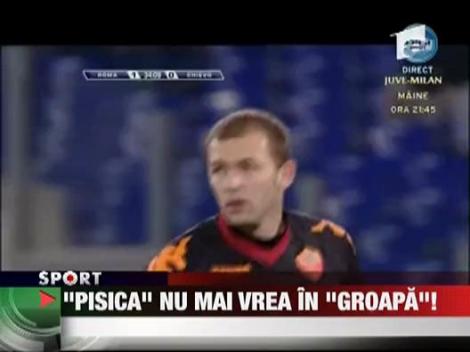 "Pisica" nu mai vrea in "groapa"!