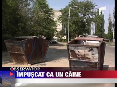 Impuscat ca un caine! La propriu!