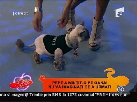 Marty, bodyguard de ocazie