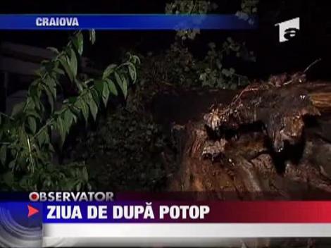 Ziua de dupa potop