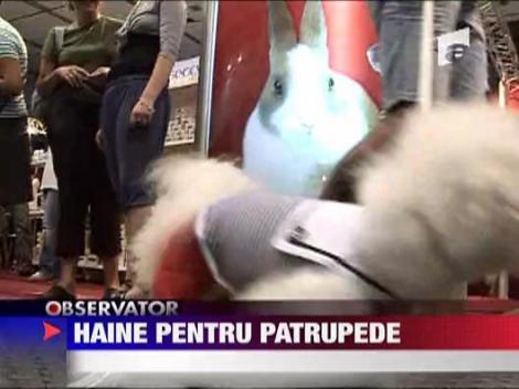 Targ de moda pentru patrupede