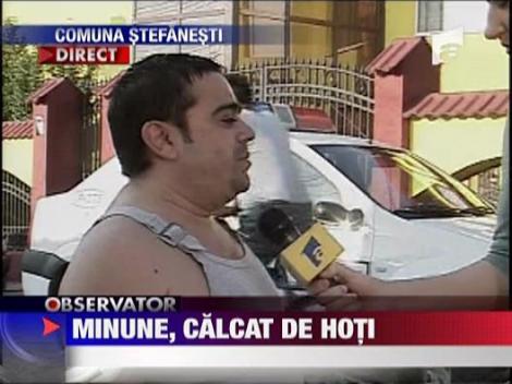 Adi Minune, pradat de hoti