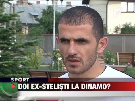 Doi ex-stelisti la Dinamo?