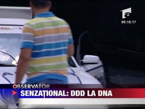 Senzational: DDD la DNA