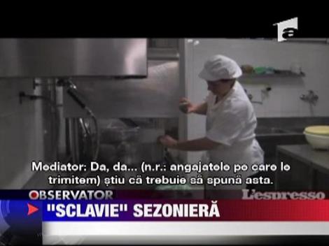 Romanii, "sclavi" sezonieri in Italia