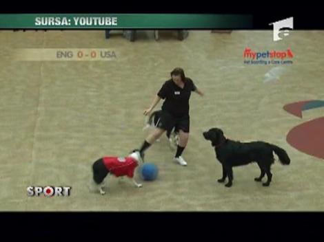 Cupa Mondiala Canina la Fotbal