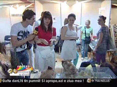 Materian Duta, la targul de animale