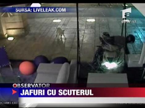 Jafuri cu scuterul