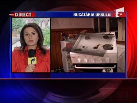 S-a trezit cu un urs in bucatarie