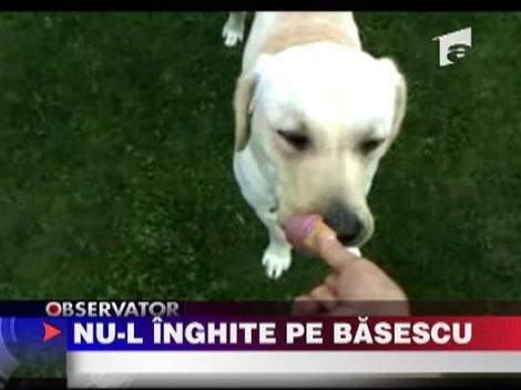 Nici macar cainii nu-l inghit pe Basescu