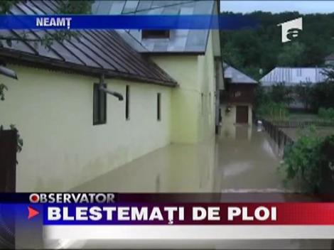 Blestemati de ploi