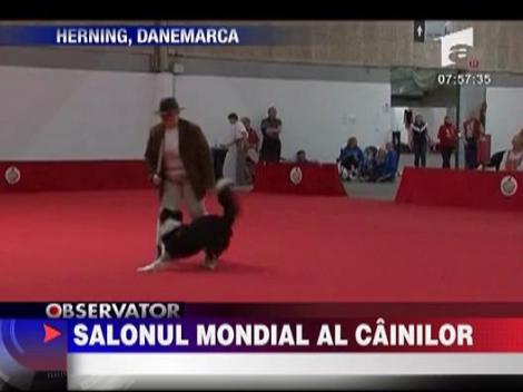 Salonul mondial al cainilor