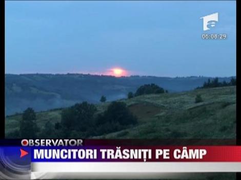 Muncitori trasniti pe camp