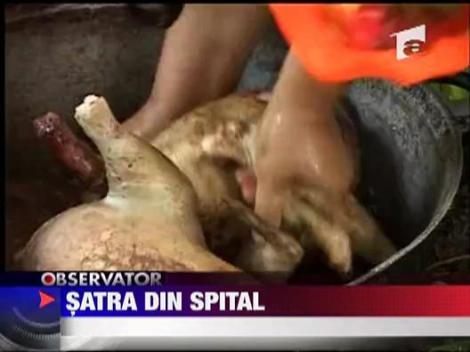Satra din spital