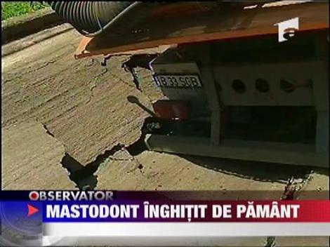 Mastodont inghitit de pamant