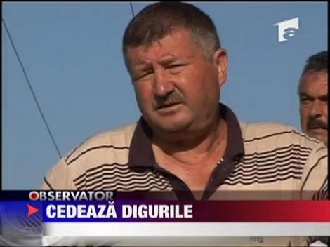 Cedeaza digurile! Saucesti, sub ape!