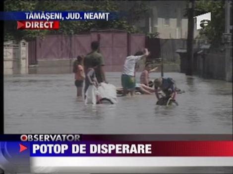 Dezastru in Tamaseni