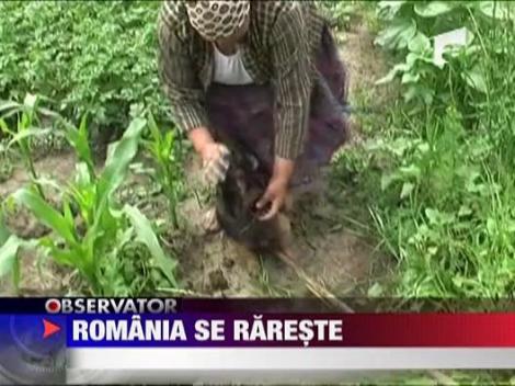 Romania se rareste