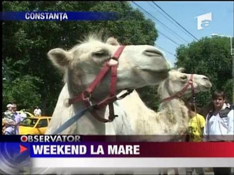 Weekend la mare! 50000 de turisti pe litoral