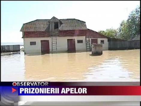 Zone din Braila si Galati, inundate controlat? Varful viiturii pe Dunare, saptamana viitoare