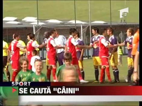 Se cauta "caini"