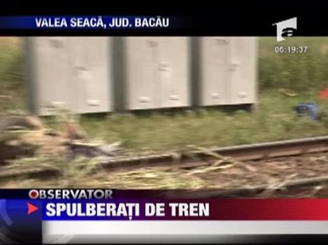 Spulberati de tren