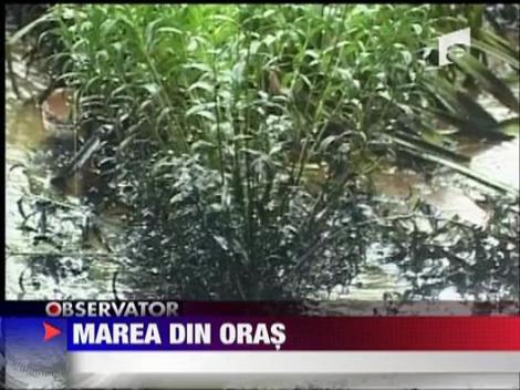 Marea din oras! Constanta sub ape