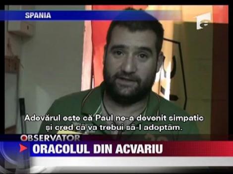 Oracolul din acvariu s-a decis! Spania castiga Cupa Mondiala